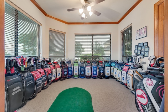 12624 Lake Shore Ct N, Fort Worth, TX 76179 - miscellaneous room featuring carpet, ceiling fan, and ornamental molding