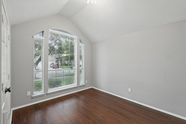 4704 Misty Ridge Dr, Fort Worth, TX 76137 - spare room with healthy amount of natural light, lofted ceiling, and dark wood-style floors