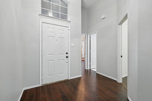 4704 Misty Ridge Dr, Fort Worth, TX 76137 - foyer entrance with dark wood finished floors and a high ceiling