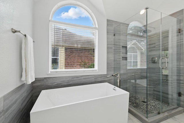 4704 Misty Ridge Dr, Fort Worth, TX 76137 - bathroom featuring a freestanding bath, plenty of natural light, a shower stall, and tile walls