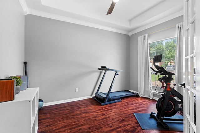 8205 Mt Mckinley Rd, Fort Worth, TX 76137 - workout area featuring ornamental molding, wood finished floors, ceiling fan, and a tray ceiling
