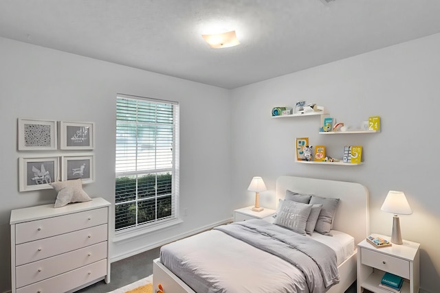 7 Atlantic Ave, Midlothian, TX 76065 - view of carpeted bedroom