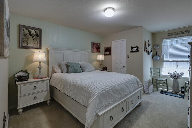 1013 Lilac Ln, Desoto, TX 75115 - view of carpeted bedroom