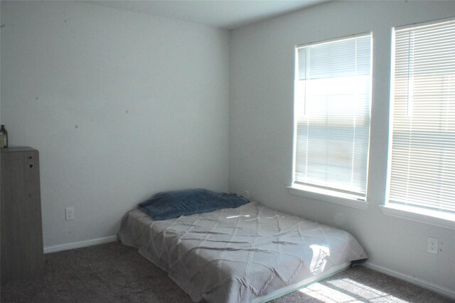 16428 Milwaukee St, Justin, TX 76247 - bedroom with carpet and baseboards
