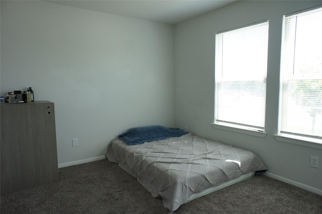 16428 Milwaukee St, Justin, TX 76247 - carpeted bedroom with multiple windows