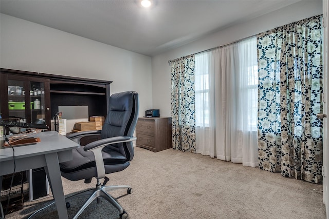 632 Peshtigo Rd, Justin, TX 76247 - office space with carpet floors