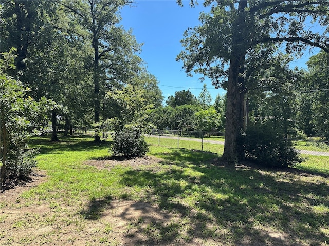 437 Maple Dr, Murchison, TX 75778 - view of yard