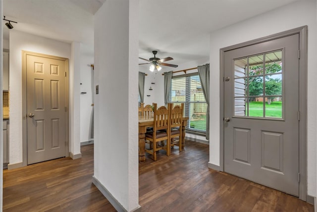 1737 Live Oak Ct, Lewisville, TX 75067 - foyer featuring wood finished floors, healthy amount of natural light, and a ceiling fan
