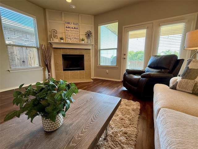 1117 Prairie Heights Dr, Fort Worth, TX 76108 - living room with a tiled fireplace, plenty of natural light, and wood finished floors