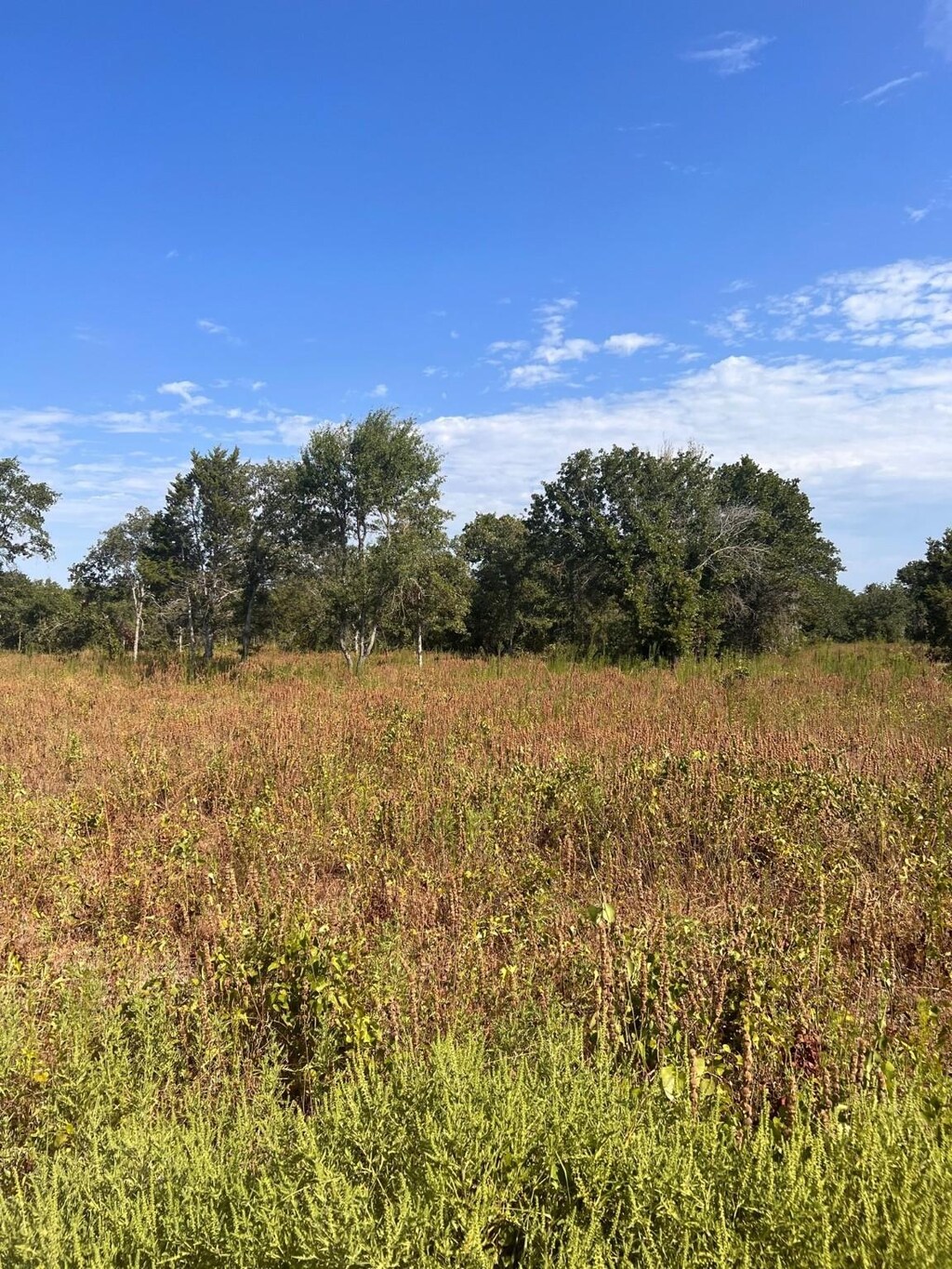 156 Doe, Nocona, TX 76255