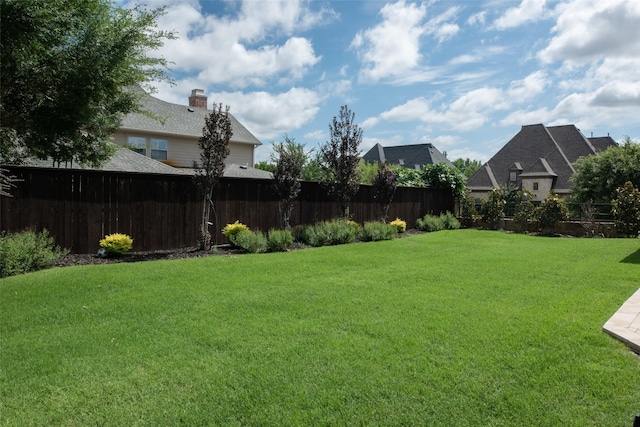 13896 Evergreen Dr, Frisco, TX 75035 - view of yard