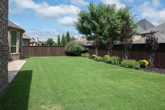 13896 Evergreen Dr, Frisco, TX 75035 - view of fenced backyard