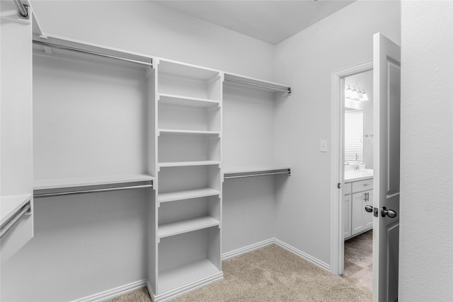 5608 Grove Cove Dr, Mckinney, TX 75071 - walk in closet featuring light colored carpet and a sink