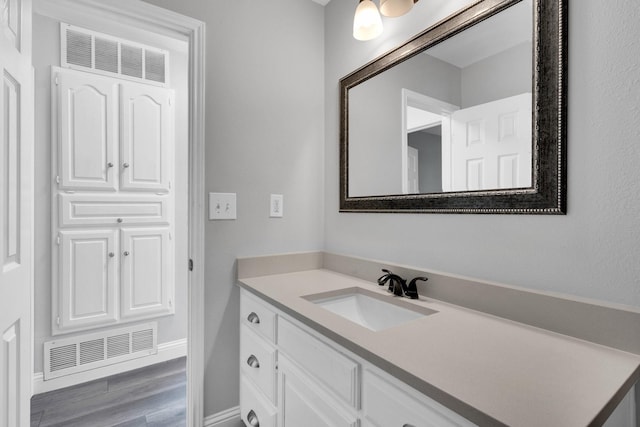 315 Burney Ln, Red Oak, TX 75154 - bathroom with vanity and wood finished floors