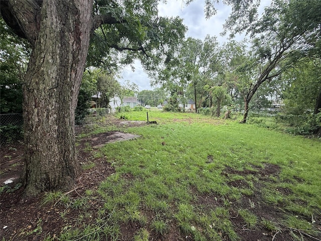 2110 W Bond St, Denison, TX 75020 - view of yard