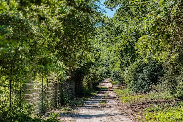 511 Lcr 793, Groesbeck, TX 76642