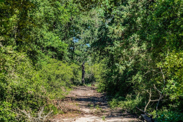 511 Lcr 793, Groesbeck, TX 76642