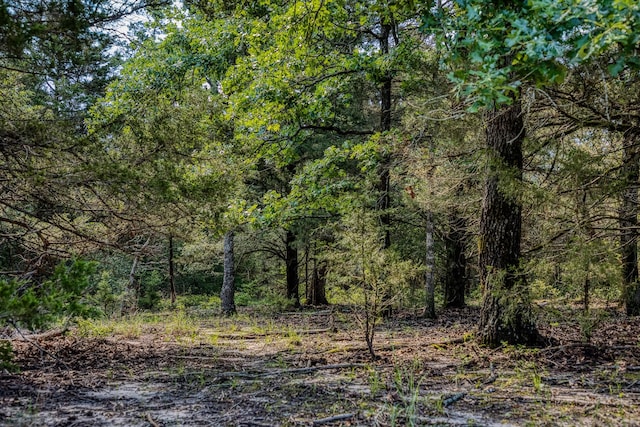 511 Lcr 793, Groesbeck, TX 76642