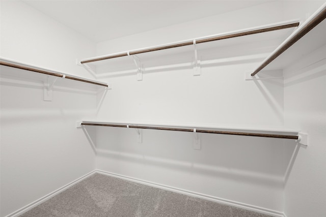 733 Stone Eagle Dr, Azle, TX 76020 - walk in closet with carpet
