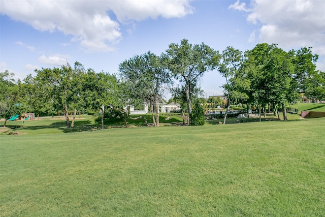 7204 Ripley St, Mckinney, TX 75071 - view of grassy yard
