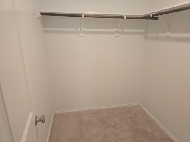 704 Dashwood Dr, Princeton, TX 75407 - spacious closet featuring carpet
