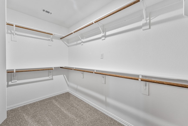 113 Aslan Rd, Poolville, TX 76487 - spacious closet featuring carpet flooring