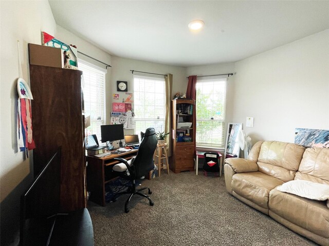 4107 Reese Ln, Krum, TX 76249 - office space with carpet floors and plenty of natural light
