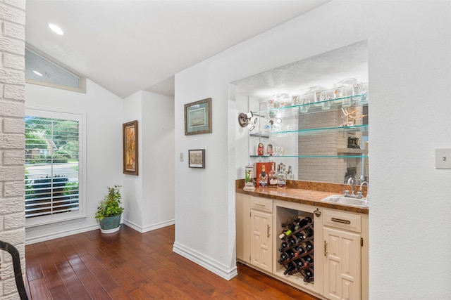 11721 Pine Creek Ct, Fort Worth, TX 76008 - indoor wet bar with vaulted ceiling and dark wood-type flooring