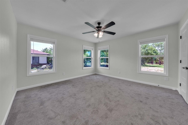 313 County Road 805a, Cleburne, TX 76031 - spare room featuring healthy amount of natural light, a ceiling fan, and carpet floors