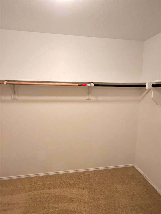 3116 Montserrat Creek Dr, Little Elm, TX 75068 - spacious closet with carpet floors