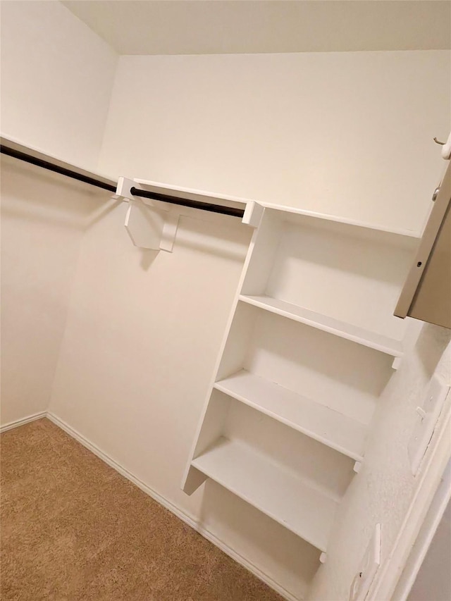 3116 Montserrat Creek Dr, Little Elm, TX 75068 - spacious closet featuring carpet floors