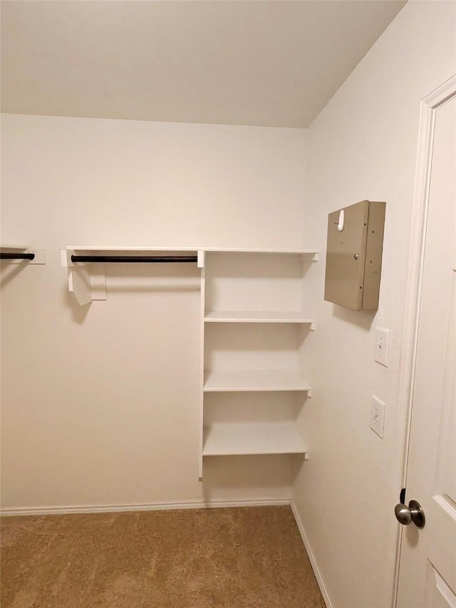 3116 Montserrat Creek Dr, Little Elm, TX 75068 - spacious closet featuring carpet floors