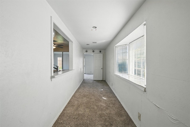 2015 Shenandoah Dr, Carrollton, TX 75007 - corridor with carpet floors and a sink