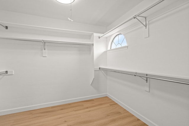 2305 Delmar Dr, Plano, TX 75075 - walk in closet with light wood-type flooring