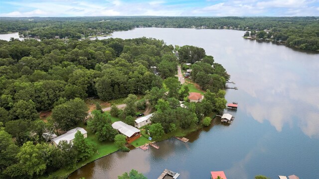 200 Dogwood Trl, Murchison, TX 75778 - bird's eye view of a forest and a large body of water