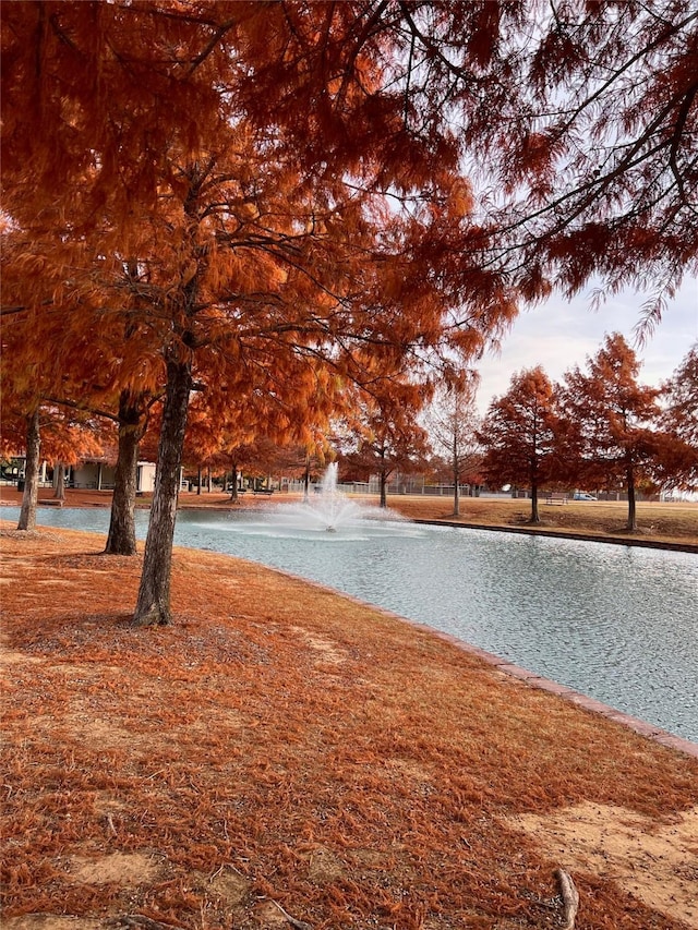 4924 Marsh Harrier Ave, Grand Prairie, TX 75052 - surrounding community with a water view