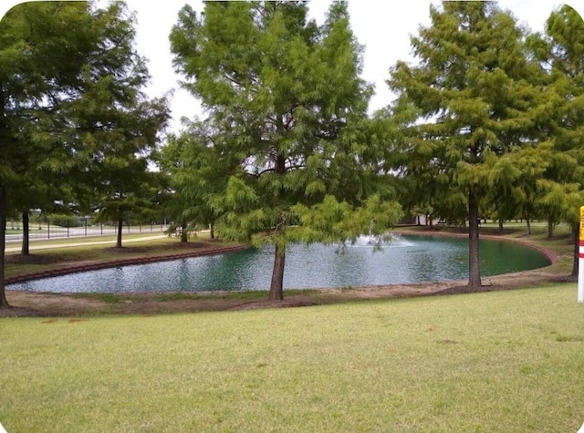 4924 Marsh Harrier Ave, Grand Prairie, TX 75052 - water view