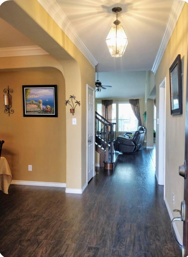 4924 Marsh Harrier Ave, Grand Prairie, TX 75052 - hallway featuring stairway, dark wood-type flooring, and ornamental molding