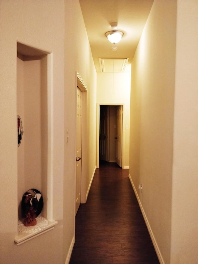 4924 Marsh Harrier Ave, Grand Prairie, TX 75052 - corridor with attic access and dark wood-style flooring