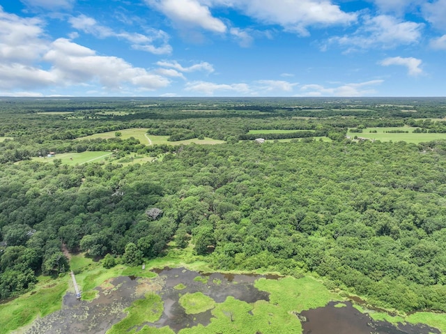 1605 County Road 1195, Yantis, TX 75497 - aerial view of a forest