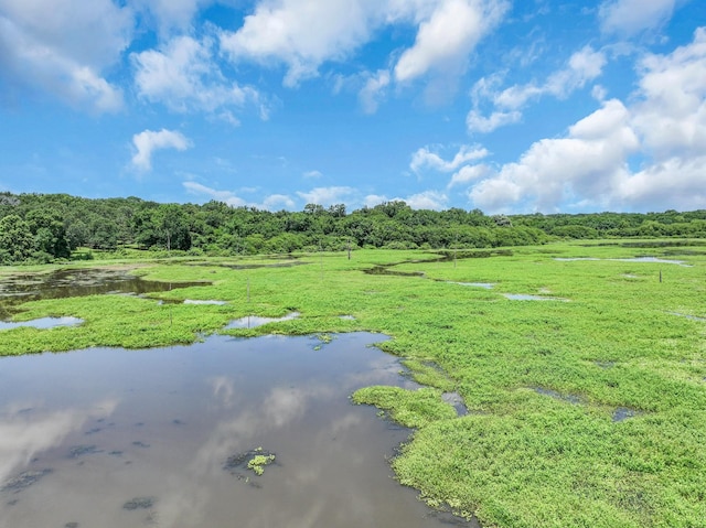 1605 County Road 1195, Yantis, TX 75497 - view of yard featuring a water view and a forest view