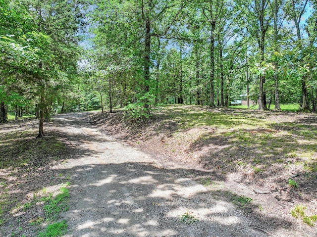 1605 County Road 1195, Yantis, TX 75497 - view of road with a wooded view