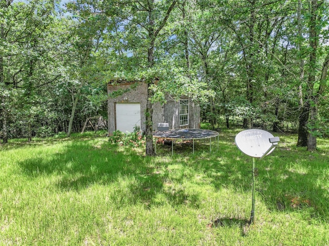 1605 County Road 1195, Yantis, TX 75497 - view of yard with a trampoline
