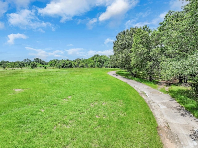 1605 County Road 1195, Yantis, TX 75497 - view of property's community featuring a yard