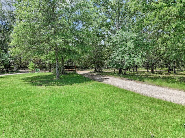 1605 County Road 1195, Yantis, TX 75497 - view of green lawn