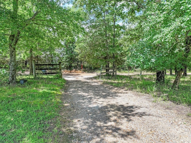 1605 County Road 1195, Yantis, TX 75497 - view of street