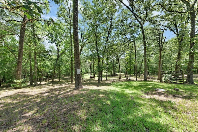 1605 County Road 1195, Yantis, TX 75497 - view of grassy yard