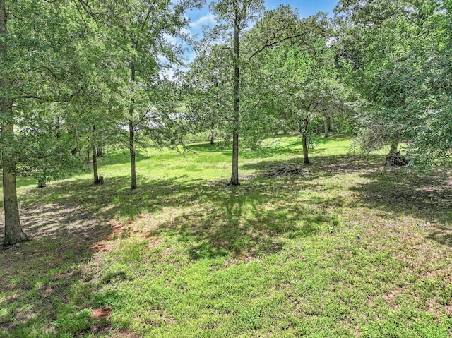 1605 County Road 1195, Yantis, TX 75497 - view of green lawn