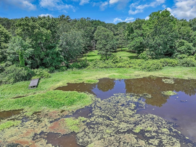 1605 County Road 1195, Yantis, TX 75497 - view of community