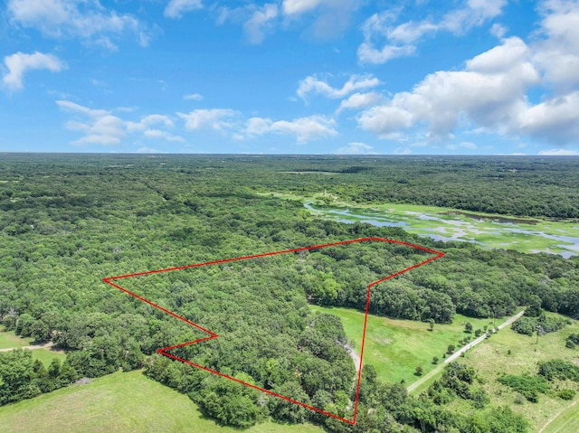 1605 County Road 1195, Yantis, TX 75497 - view of property location with a large body of water and property parcel outlined